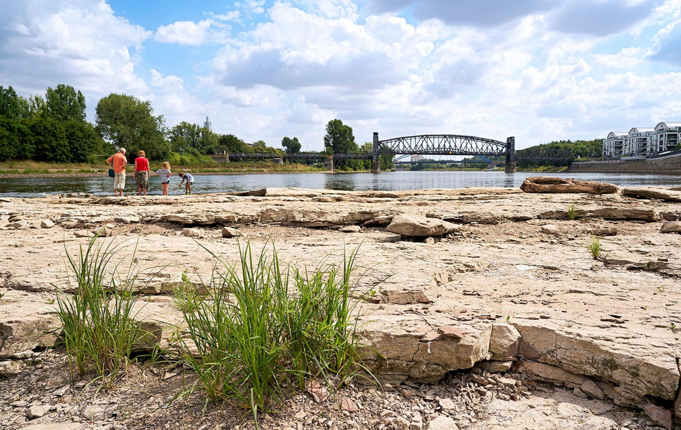 Niedrigwasser in der Elbe bei Magdeburg im Sommer 2018