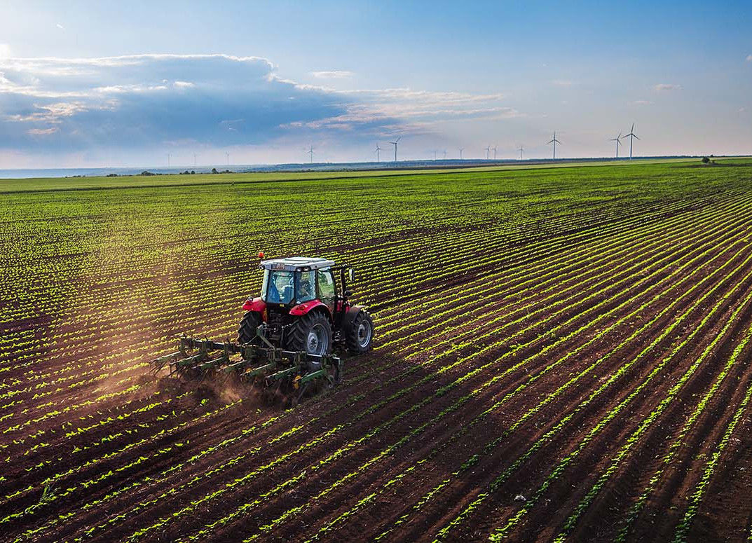 Nur eine gewässerschonende Landwirtschaft wirkt der Nitratbelastung entgegen