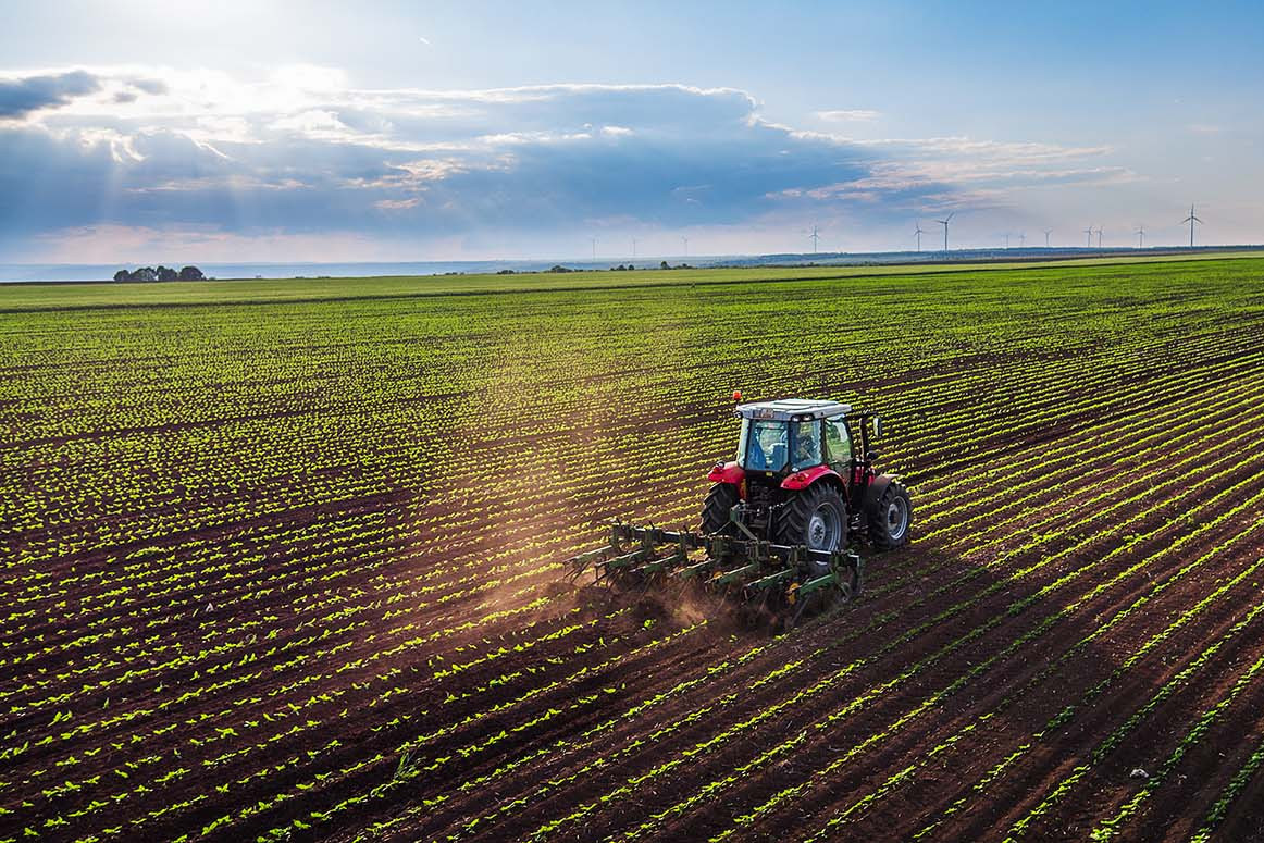 Nur eine gewässerschonende Landwirtschaft wirkt der Nitratbelastung entgegen