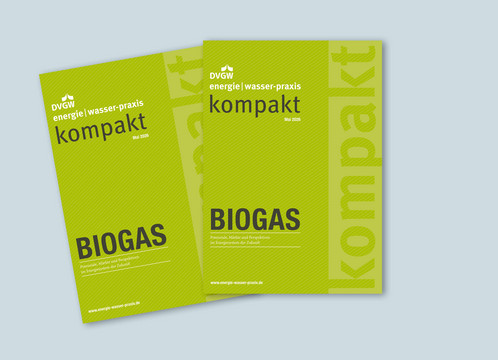Ein grafisch gestaltetes grasgrünes Cover mit der Aufschrift "Biogas"