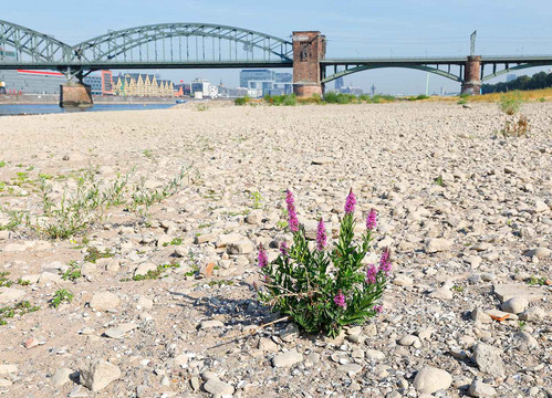 Die Wasserversorgung muss sich an den Klimawandel anpassen