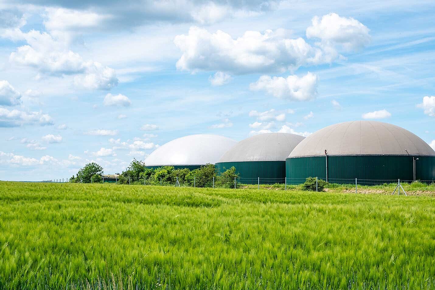 Biogasanlagen produzieren klimafreundliche Energie