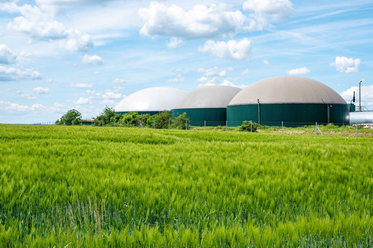 Biogasanlagen produzieren klimafreundliche Energie