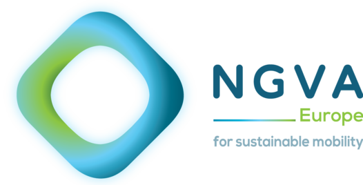 Logo NGVA