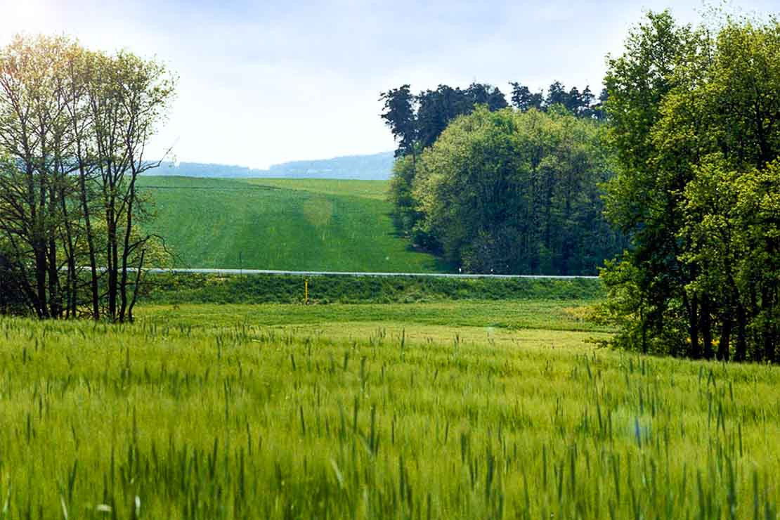 Nach dem Bau einer Gashochdrucksleitung folgt die Rekultivierug, um das Landschaftbild wiederherzustellen.