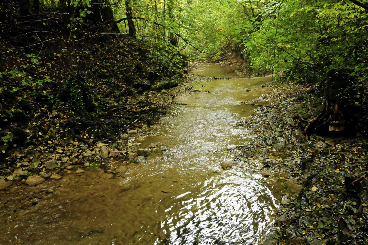 Natürlicher Bachlauf