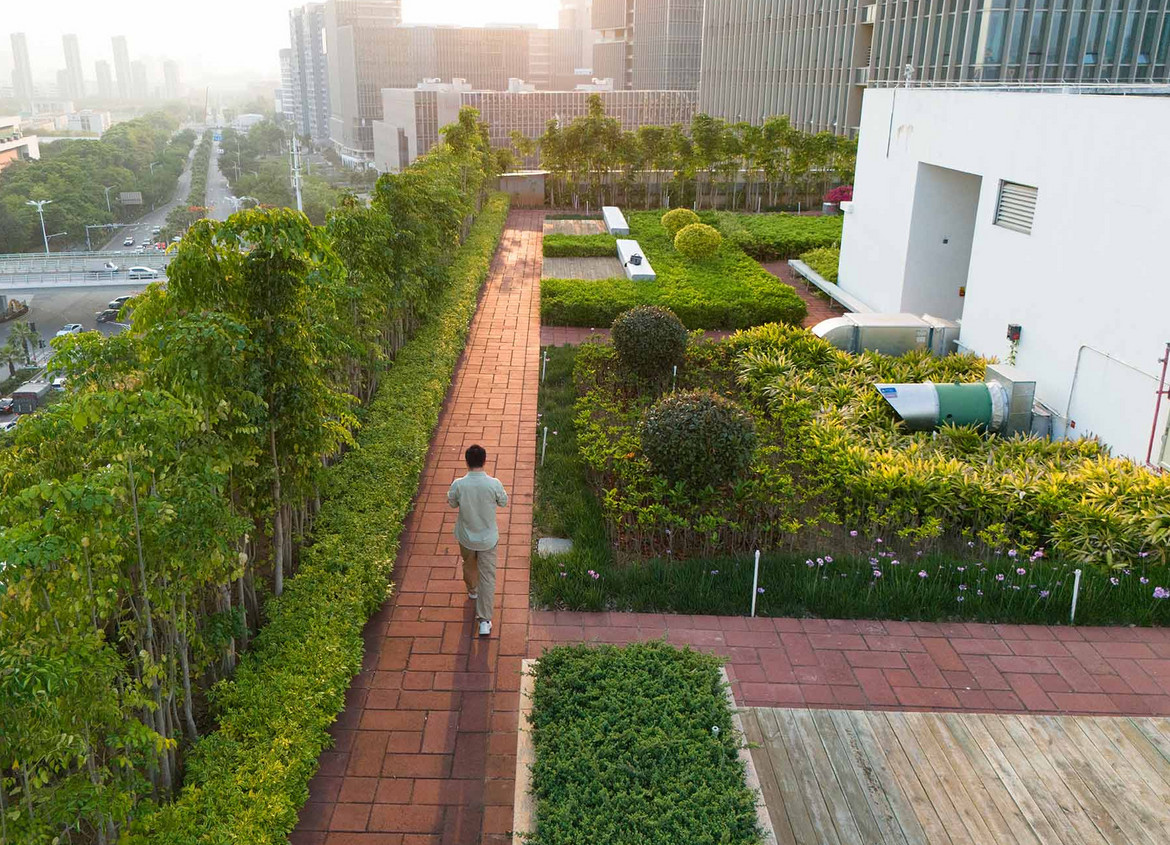 Mann geht auf einem begrünten Flachdach hoch oben über einer Stadt