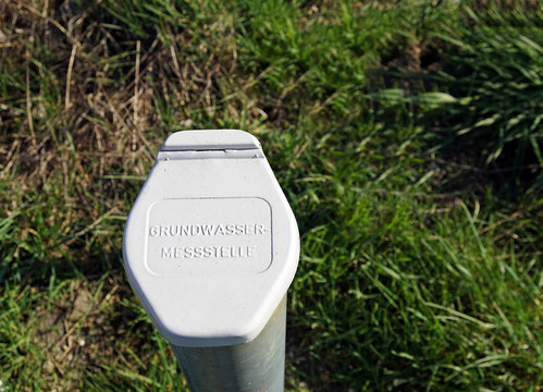Ein weißes, mit einem Deckel abgeschlossenes Rohr ragt aus einem Wiesenboden heraus