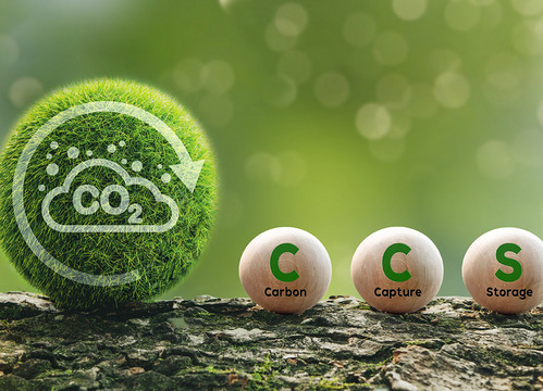 Auf einem Baumstamm vor grüner Natur liegen vier Bälle: ein großer grüner mit der Aufschrift "CO2" in einer weißen Wolke, um beides geht ein Pfeil in Uhrzeigerrichtung; , daneben drei kleine Holzbälle, jeder von ihnen trägt einen Buchstaben: "C", "C","S"