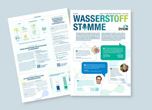 Zwei Exemplare liegen fächerförmig übereinander
