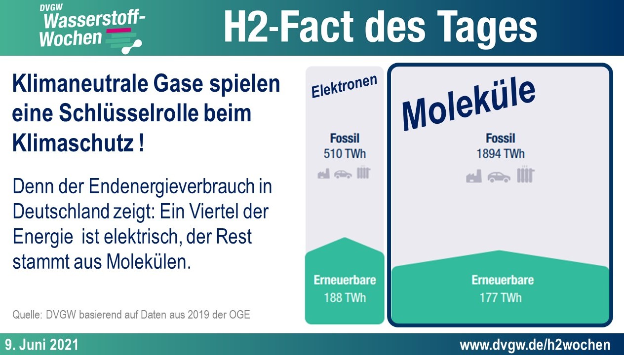 Klimaneutrale Gase spielen eine Schlüsselrolle beim Klimaschutz. Denn der Endenergieverbrauch ind Deutschland zeigt: ein Viertel der Energie ist elektrisch, der Rest stammt aus Molekülen.