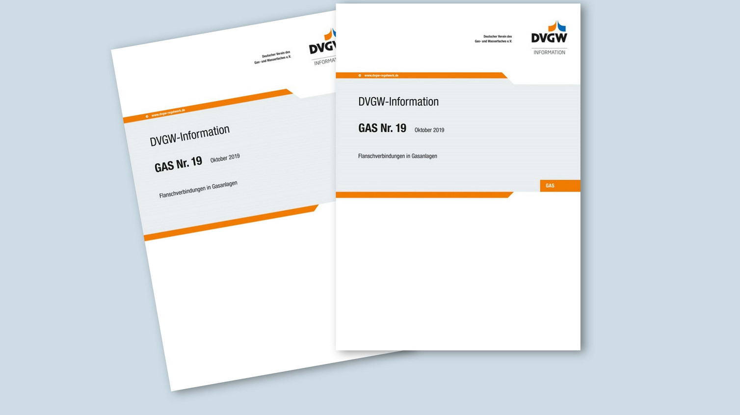 Cover der DVGW-Information Gas Nr. 19 mit Titel