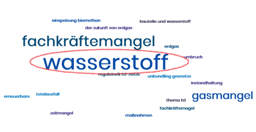 Visualisierung der thematischen "Brennpunkte", Ertrag der GDRMA Sachkundigen-Erfahrungsaustausche in Berlin aus den Jahren 2021 und 2022, in einer WordCloud.