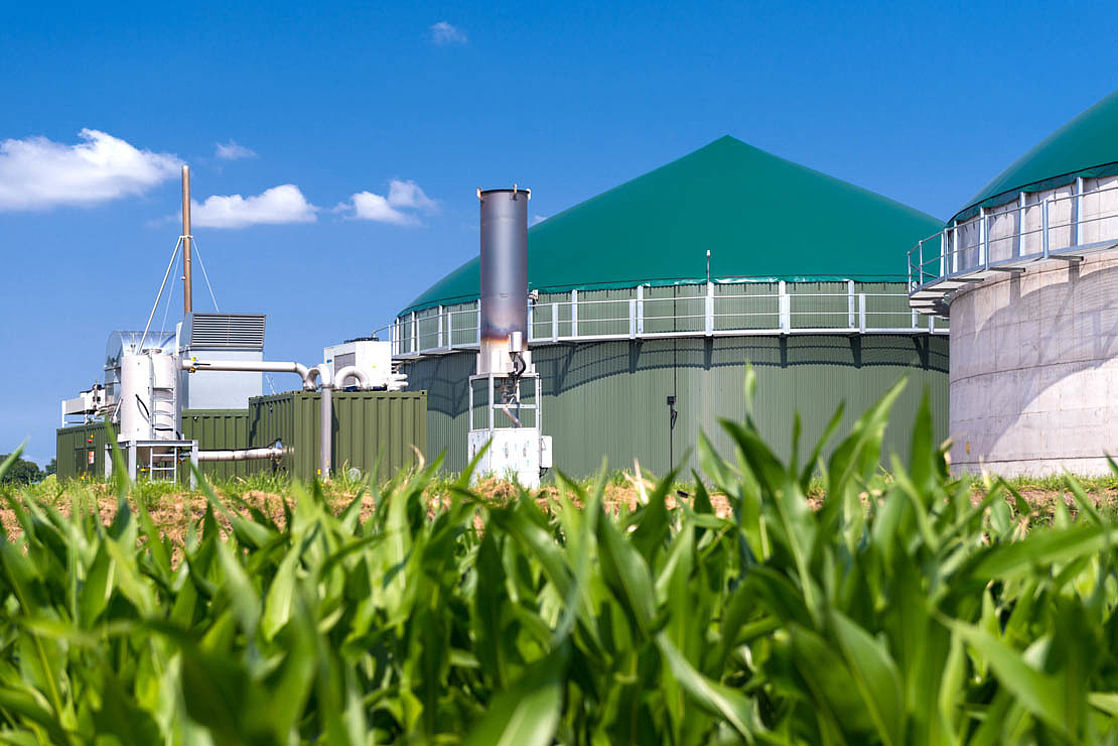 The biomethane generated from biogas serves as an environmentally friendly fuel