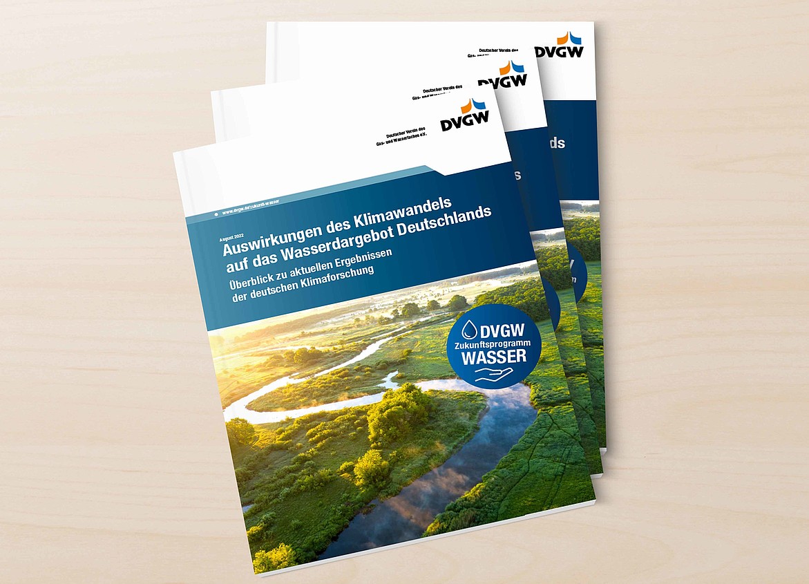 Titel des Factsheets zu den Auswirkungen des Klimawandels auf das Wasserdargebot Deutschlands