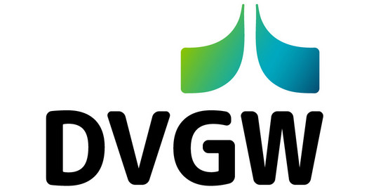 Über dem schwarzen Schriftzug "DVGW" stehen ein nach links ausschwingender grüner und nach rechts ausschwingender blauer "Flügel"