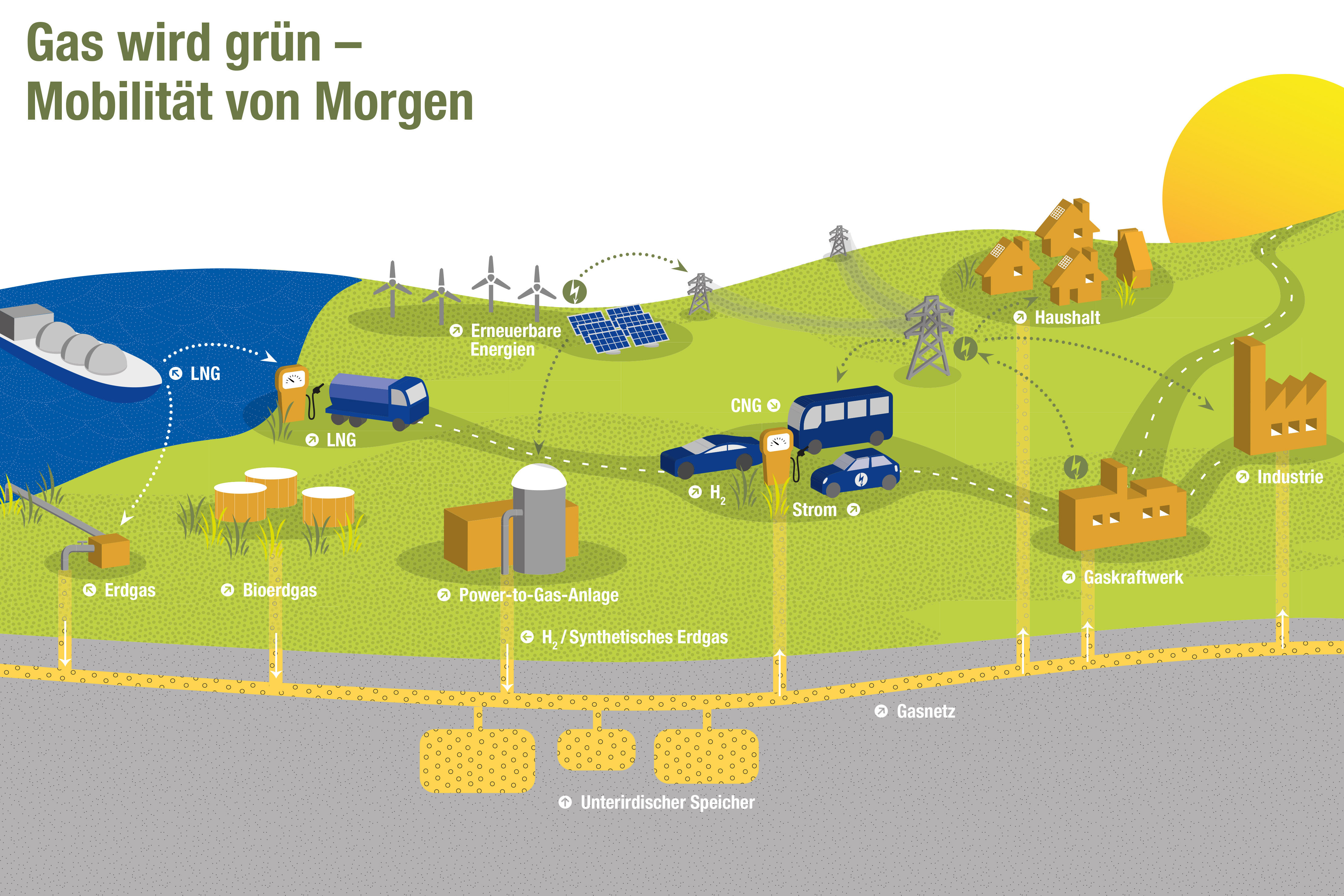 Infografik: Gas wird grün – Mobilität von Morgen