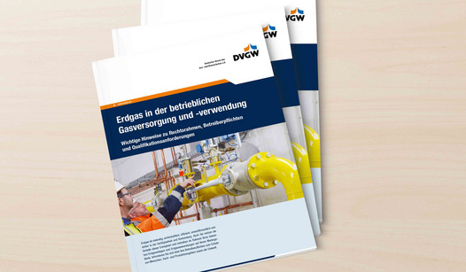 DVGW e.V.: Gas-Information Nr. 7