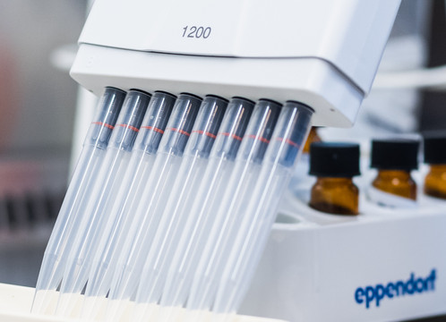 Pipettieren in einem Labor