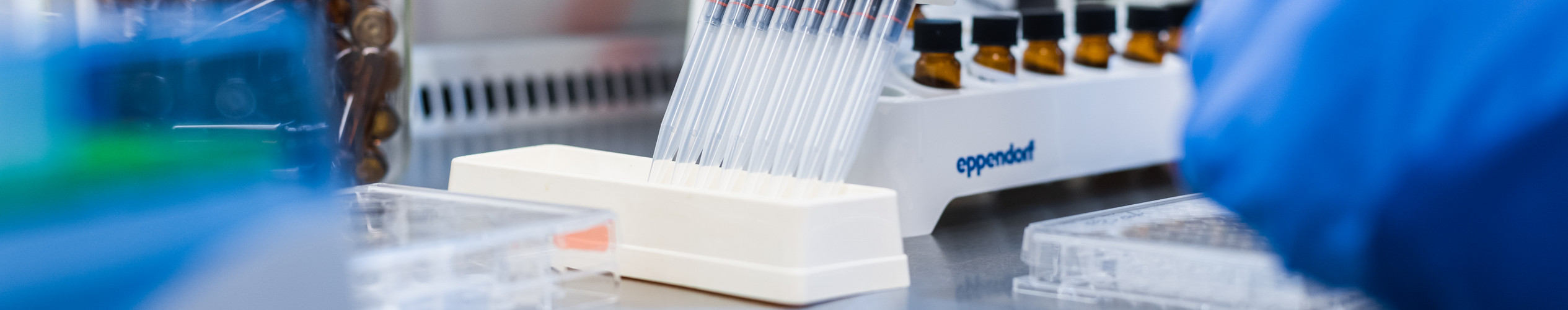 Pipettieren in einem Labor