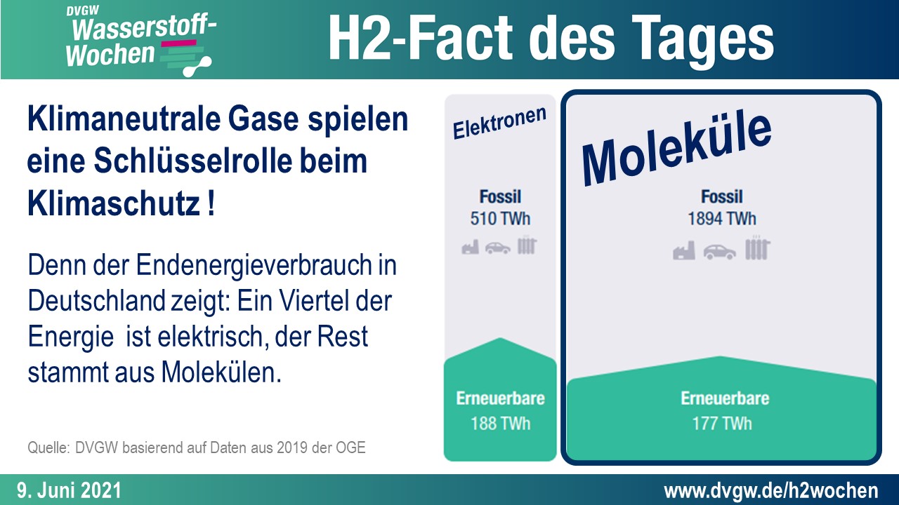 Klimaneutrale Gase spielen eine Schlüsselrolle beim Klimaschutz. Denn der Endenergieverbrauch ind Deutschland zeigt: ein Viertel der Energie ist elektrisch, der Rest stammt aus Molekülen.